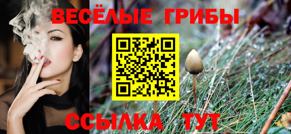 Псилоцибиновые грибы мухоморы  Псилоцибиновые грибы GOLDEN TEACHER  Красный Сулин  Вход с VPN 
