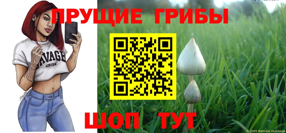 Галлюциногенные грибы мухоморы Красный Сулин